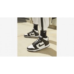 Pantofi Sport Barbati, Nike, Nike Dunk DD1399-105