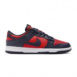 Pantofi Sport Barbati, Nike, Nike Dunk DV0833-601