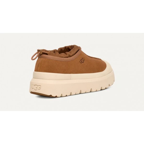 Papuci Barbati, UGG, Tasman 1144096-CWT