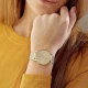Ceas Dama, Armani Exchange, Lola AX5536 Ceas Dama, Armani Exchange, Lola AX5536