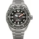 Ceas Barbati, Citizen, Promaster Marine NB6004-83E