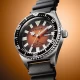 Ceas Barbati, Citizen, Promaster Mechanical Diver NY0120-01ZE