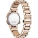 Ceas Dama, Citizen, Elegance EM0912-84Y