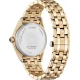 Ceas Dama, Citizen, Elegance EM1143-81X