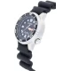 Ceas Dama, Citizen, Promaster Marine EP6050-17E