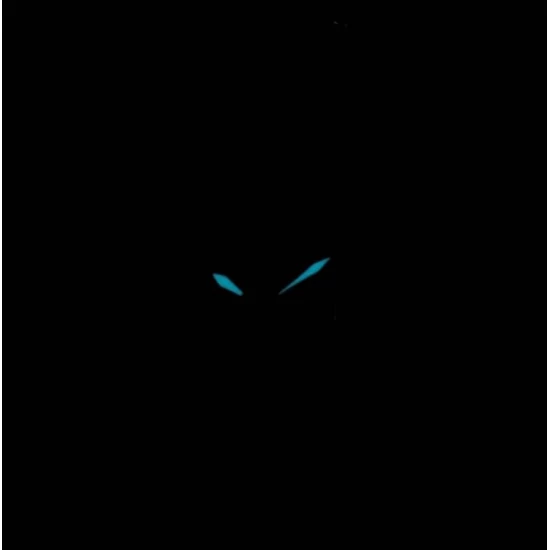 Ceas Dama, Citizen, Silhouette EW1262-55P