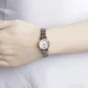 Ceas Dama, Emporio Armani, Classic AR1689