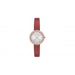 Ceas Dama, Emporio Armani, Mother of Pearl AR11438