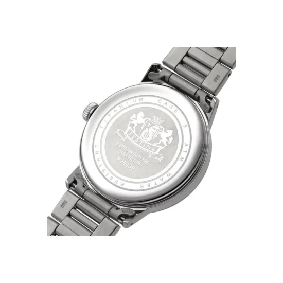 Ceas Barbati, Festina, Titanium F20435/2