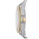 Ceas Dama, Fossil, Scarkette ES4319