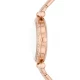 Ceas Dama, Fossil, Tillie BQ3820