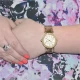 Ceas Dama, Michael Kors, Parker MK6056