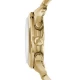 Ceas Dama, Michael Kors, Runway MK8315