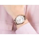 Ceas Dama, Michael Kors, Whitney MK6694 Ceas Dama, Michael Kors, Whitney MK6694
