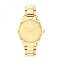 Ceas Dama, Calvin Klein, Iconic 25200346