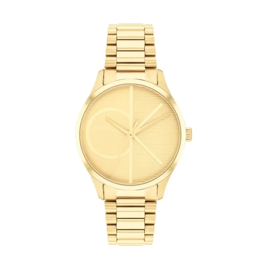 Ceas Dama, Calvin Klein, Iconic 25200346