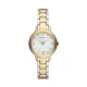 Ceas Dama, Emporio Armani, Cleo AR11513 Ceas Dama, Emporio Armani, Cleo AR11513