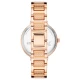 Ceas Dama, Juicy Couture, JC131 JC1312RGRG Ceas Dama, Juicy Couture, JC131 JC1312RGRG