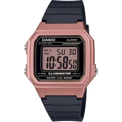 Ceas Casio, Collection W-21 W-217HM-5A