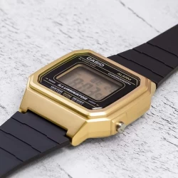 Ceas Casio, Collection W-21 W-217HM-9A