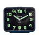 Ceas De Birou, Casio, Wake Up Timer TQ-218-2E