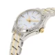 Ceas Barbati, Casio, Collection MTP-13 MTP-1308SG-7AVDF