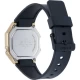 Ceas Casio, Collection W-21 W-217HM-9A
