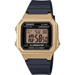 Ceas Casio, Collection W-21 W-217HM-9A