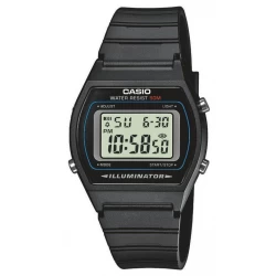 Ceas Casio, Collection W-20 W-202-1A