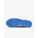 Pantofi Sport Barbati, Nike, Nike Dunk DV0833-113